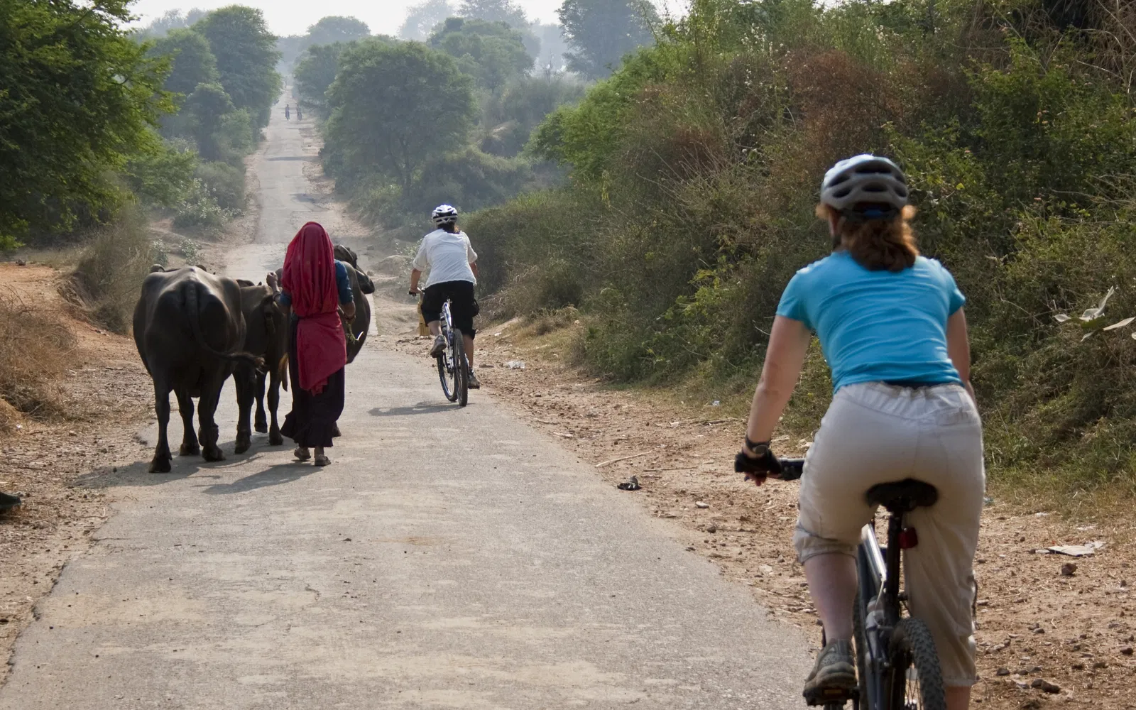 Rajasthan Short Cycling Tour 9 Days